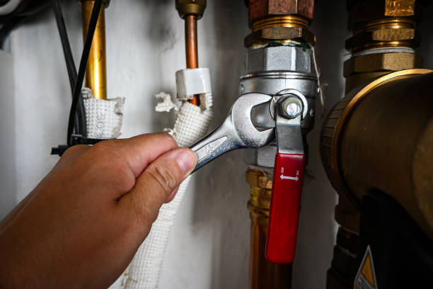 Best Toilet Repair Services  in Red Wing, MN
